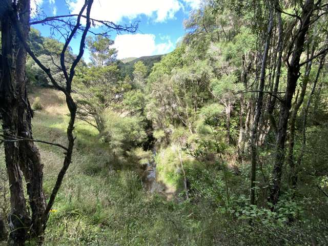 76 A Mangapurupuru Road Bideford_4