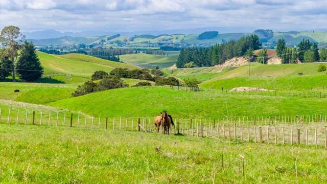 Lot 2 Taihape Road Sherenden_4
