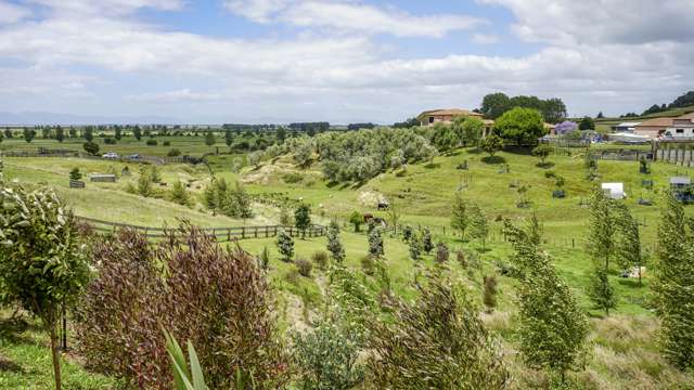 683 Back Miranda Road Miranda_1