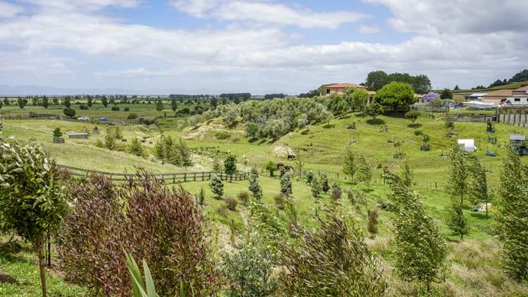 683 Back Miranda Road Miranda_1