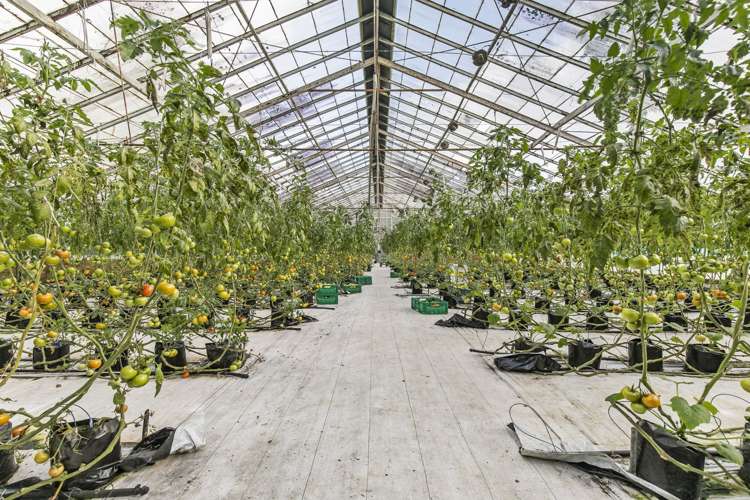 588 Burtt Road Runciman_8