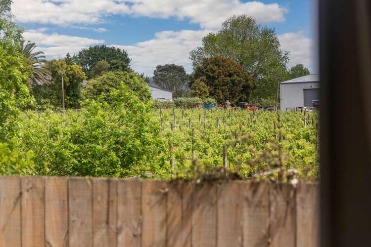 28 Misty Valley Drive Henderson_17