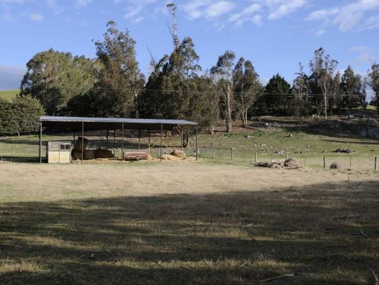 649 Kauru Hill Road Five Forks and Surrounds_56