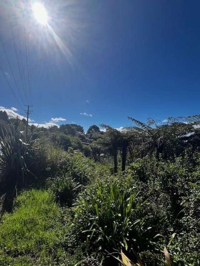50 Kitewaho Road Swanson_4