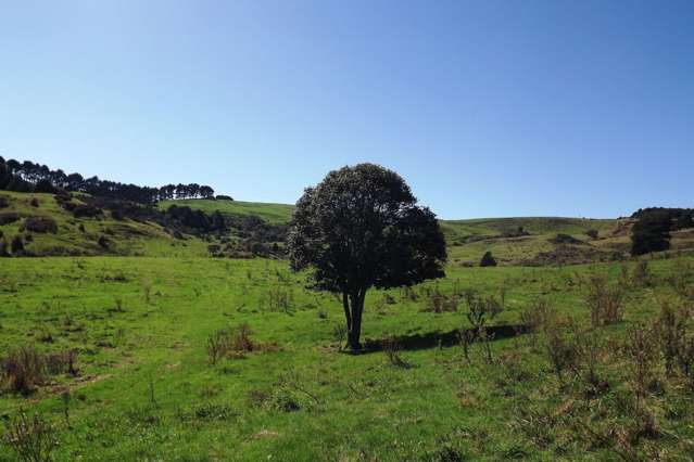 238 Waimaori Road Raglan_1