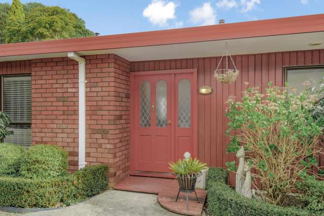 41a Bauchop Road Waterloo_4