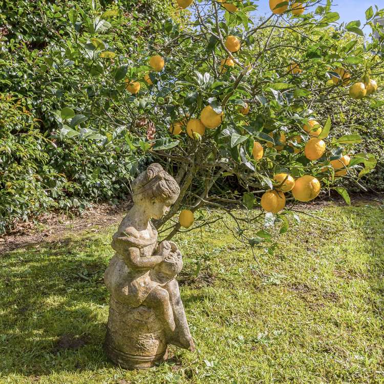 21a Vincent Street Howick_19