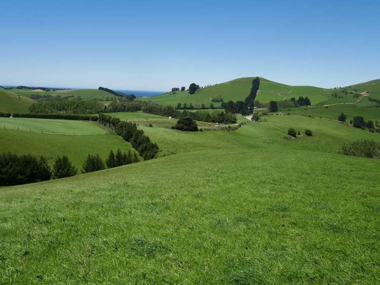 996 Goodwood Road Palmerston_23