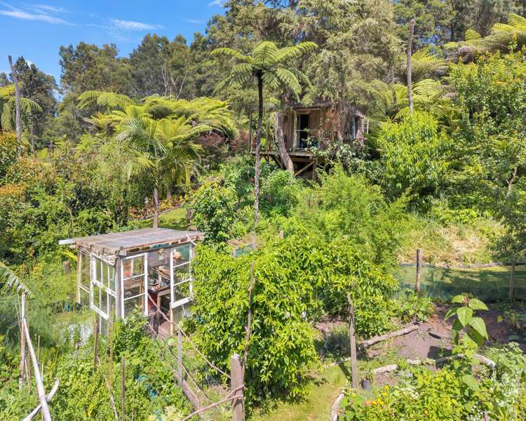 Ohiwa Loop Road Waiotahi_12