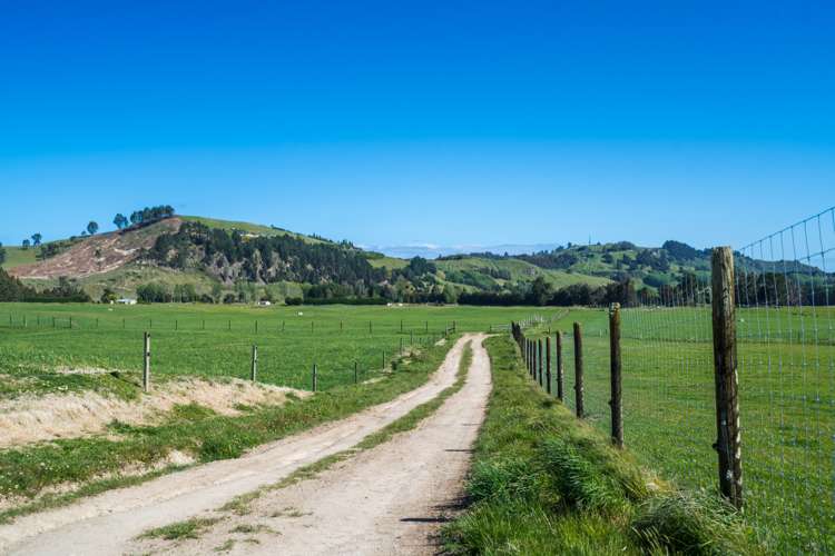 658 Tukairangi Road Kinloch_15