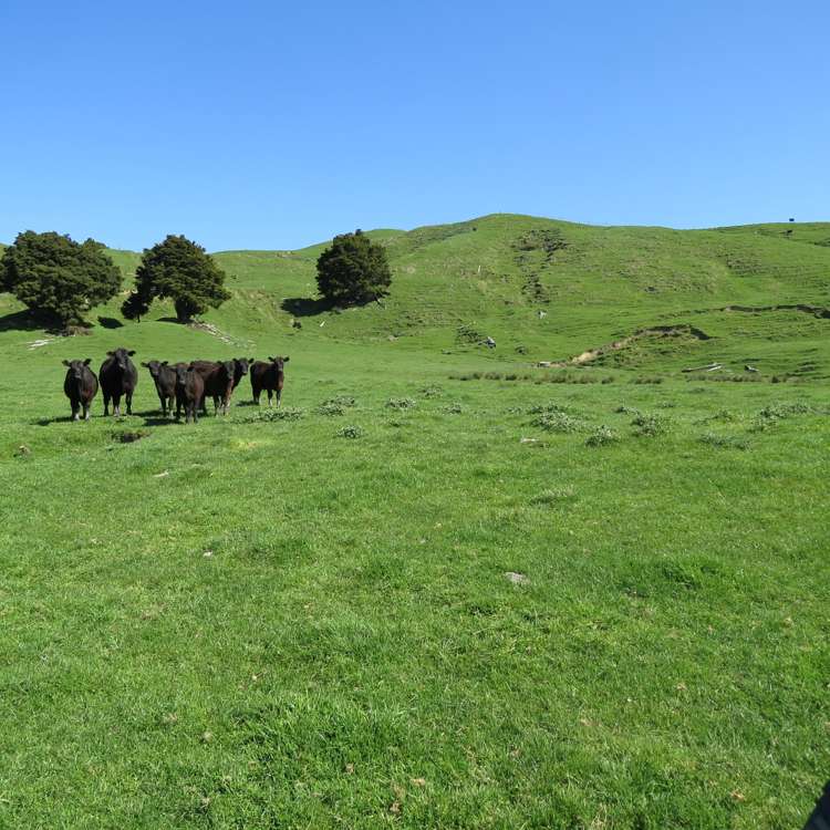 433 Pungapunga Valley Road Taumarunui_17