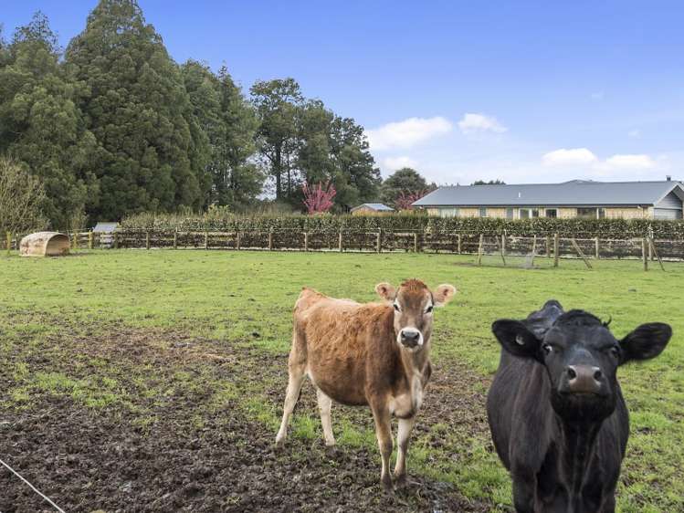 770a Gordonton Road Gordonton_9