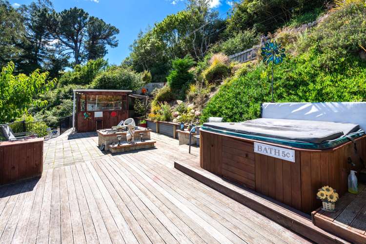 97 Hillary Street Liberton_17