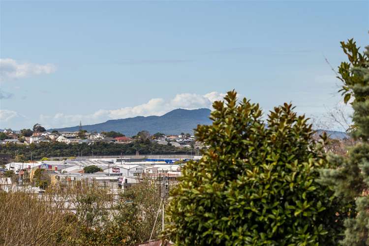 2/58 Girrahween Drive Totara Vale_11