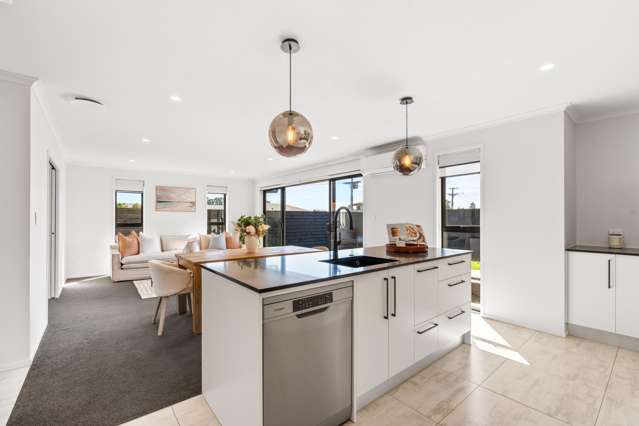 529 Mangorei Road Highlands Park_3