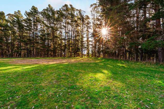 1777 Broadlands Road Broadlands Forest_4