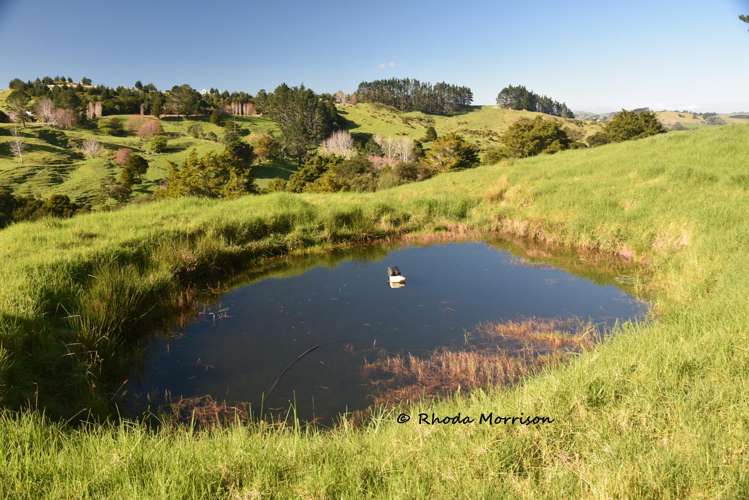 330 Franklin Road Paparoa_16