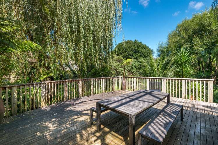 1010a Great North Road Point Chevalier_19