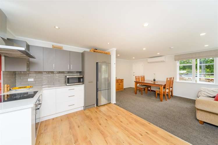 9 Bull Street Bulls_13