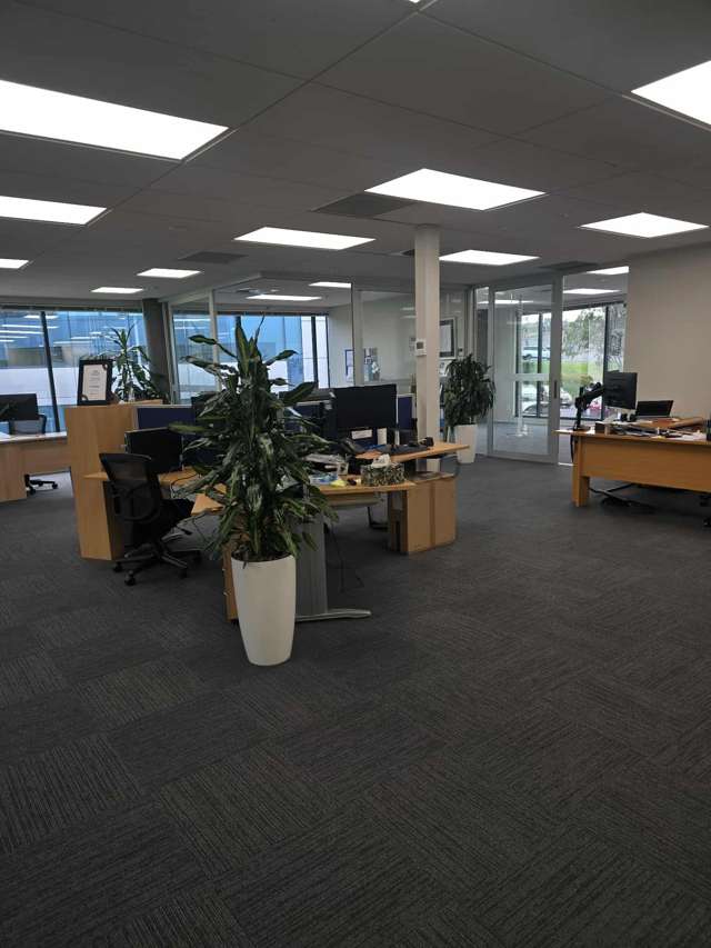 First Floor/42 Tawa Drive Albany_4