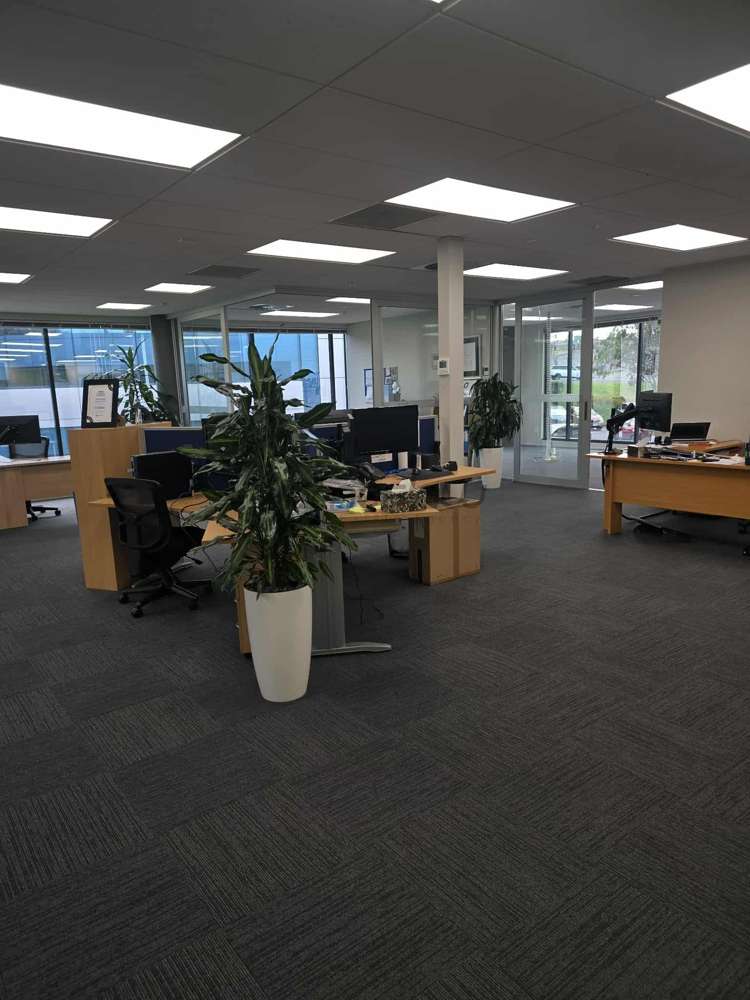 First Floor/42 Tawa Drive Albany_4