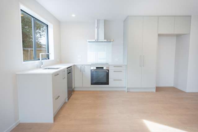 21B Rayner Street Temuka_1