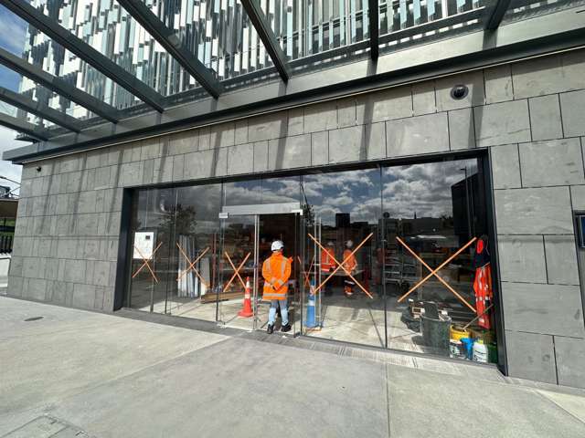 21 Ruru Street Eden Terrace_4