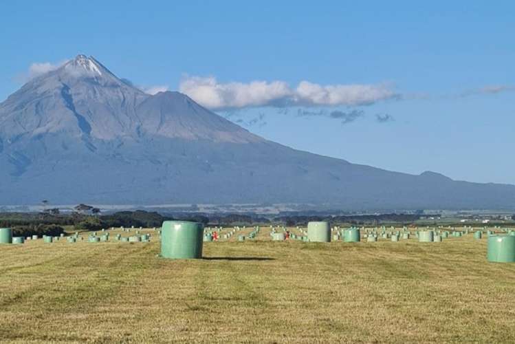 3626 South Road Opunake_9