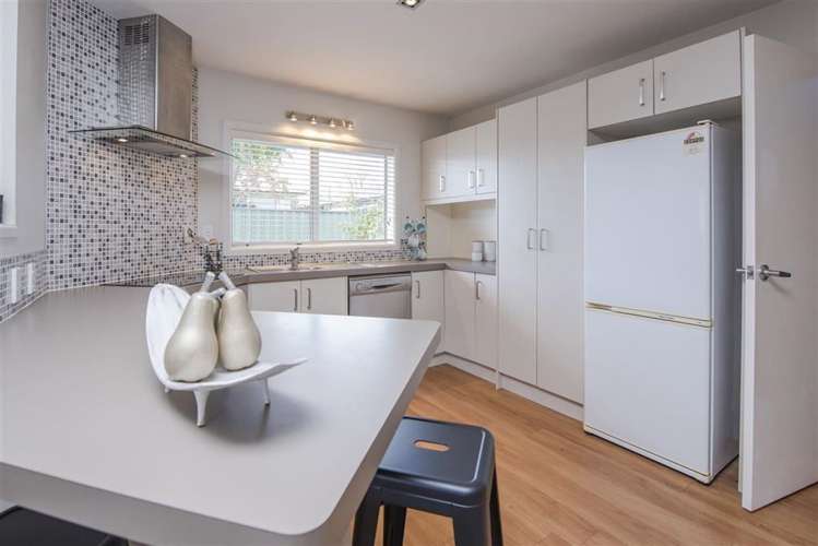 6a Paterson Street Mount Maunganui_3