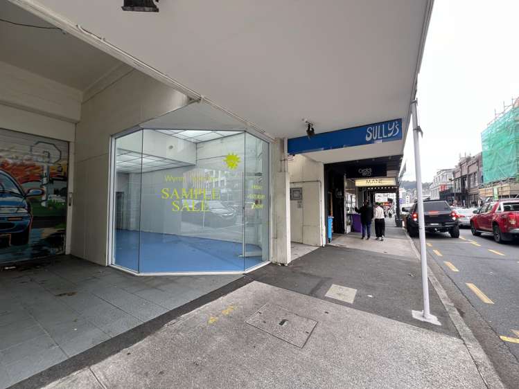66 Ghuznee St Te Aro_0