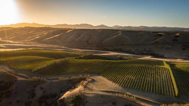 Reserve Road Seddon_1