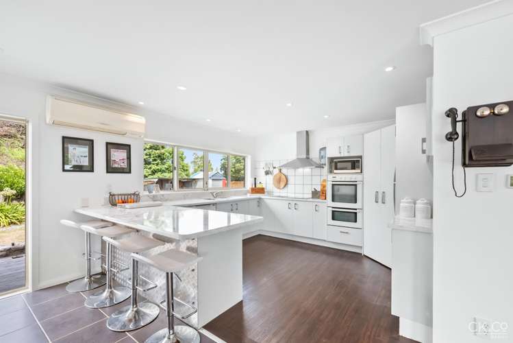 63 Black Beech Street Birchville_1