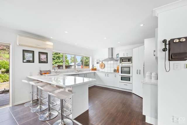 63 Black Beech Street Birchville_1