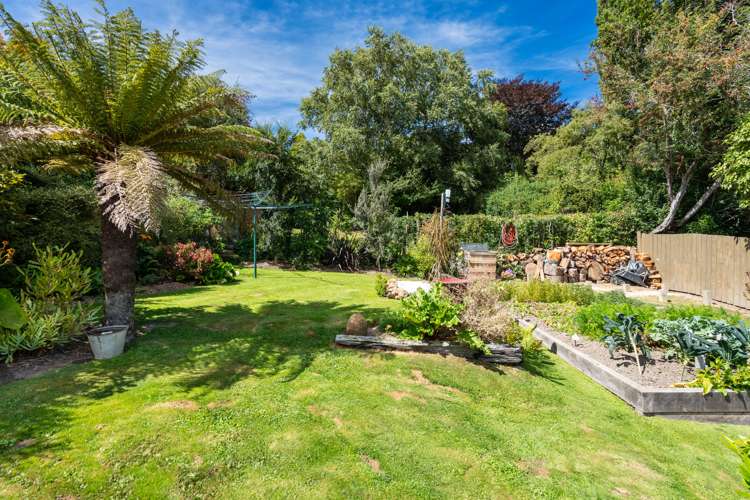 126 Evans Street Opoho_5