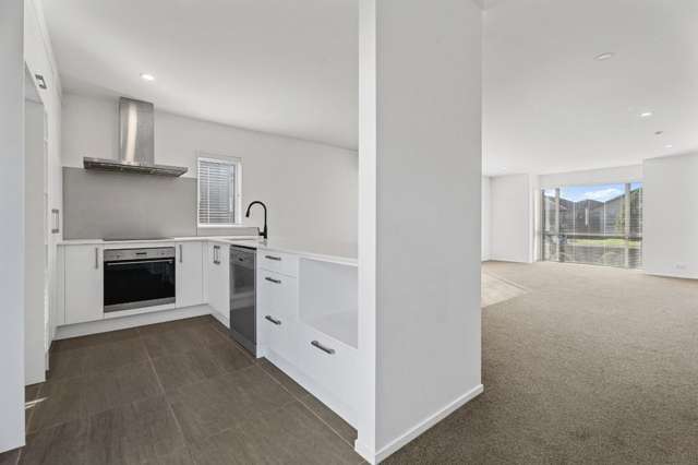 31 Aviation Street Takanini_1