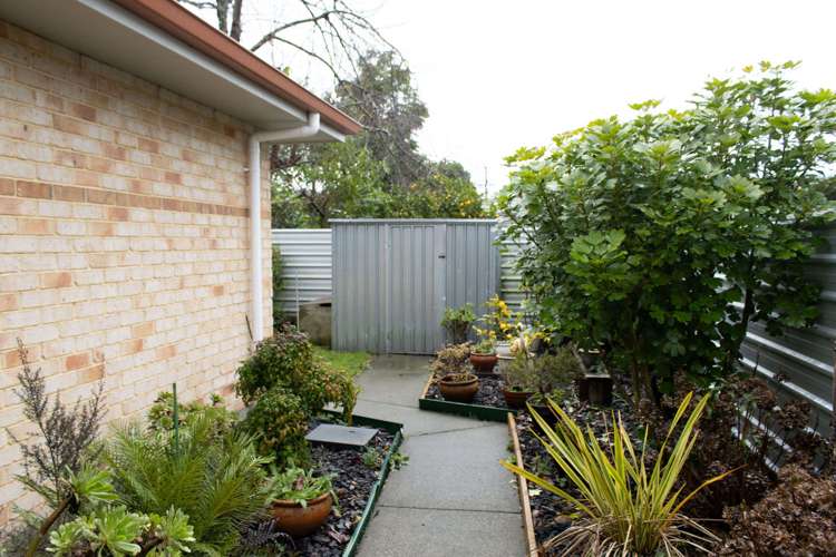 34b Field Street Aramoho_5