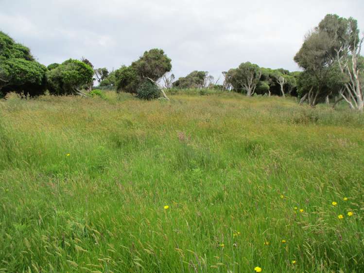 278 Jacks Bay Road Catlins Surrounds_1