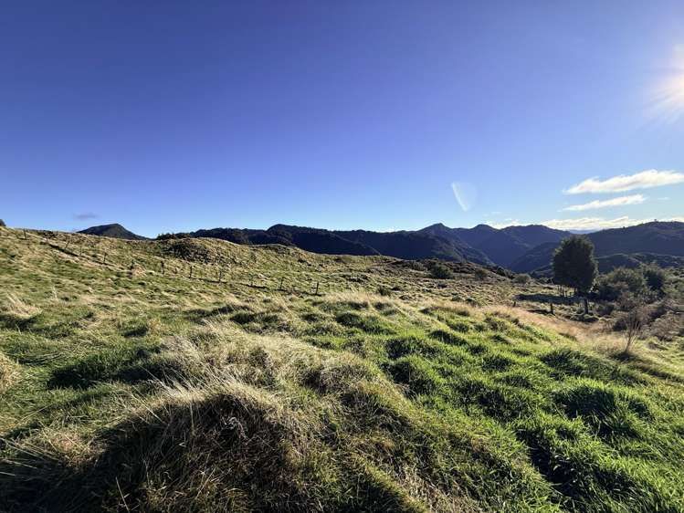 7957 State Highway 2 Opotiki Surrounds_17
