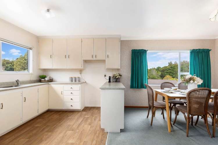 48 Scenic Drive Hillpark_6