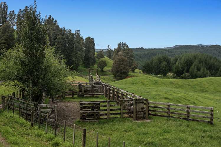 26 Settlement Road Pikowai_3