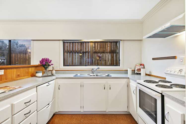 1a Eastglen Road Glen Eden_10