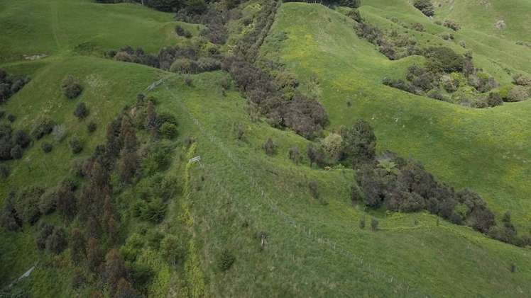 236 Ngatiawa Road Waikanae_22