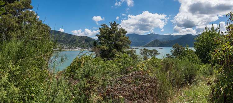 131 Queen Charlotte Drive Havelock_13