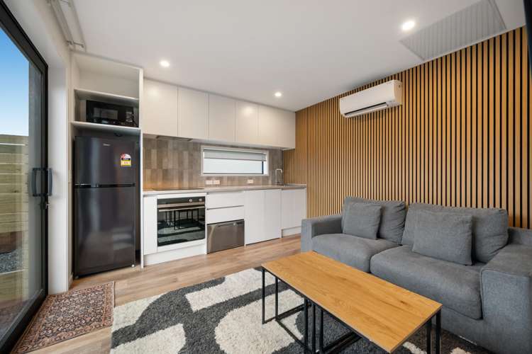 11 Shelduck Road Jacks Point_20
