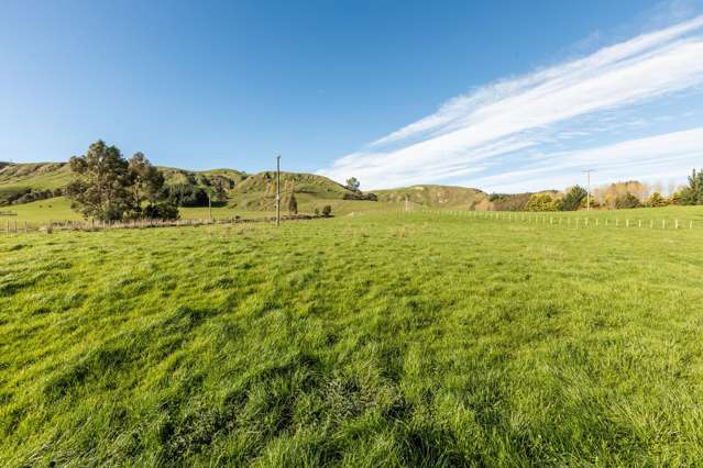 Lot Lots 1-4 Glengarry Road Puketapu_4