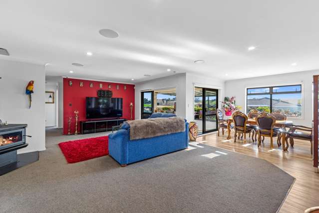 85 Vineyard Road Te Kauwhata_3