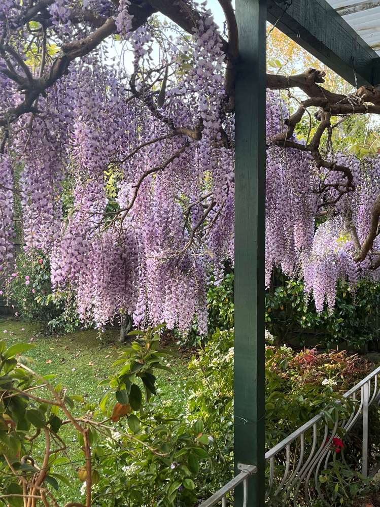 105 Weatherly Road Torbay_23