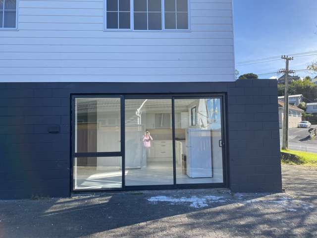 28 Konini road Greenlane_1