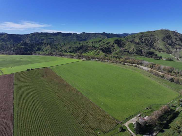 2057 Matawai Road Te Karaka_6