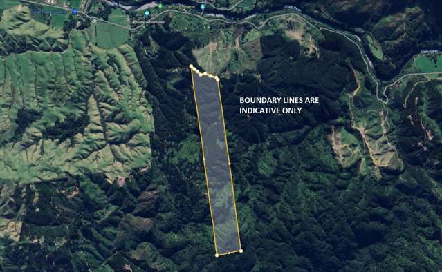 818 Otaki Gorge Road Te Horo_2